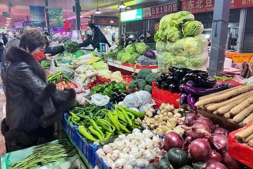 穩定民生保障 糧油菜肉蛋奶充足與新鮮蔬菜批發的繁榮