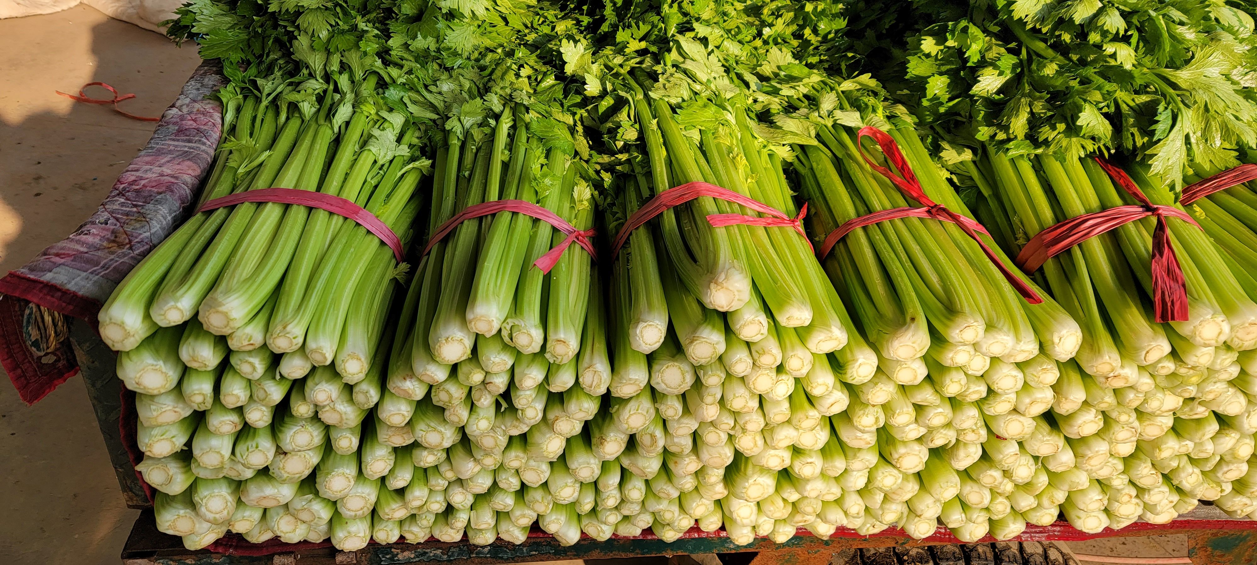 芹菜批發市場動態 高品質新鮮蔬菜的供需解析
