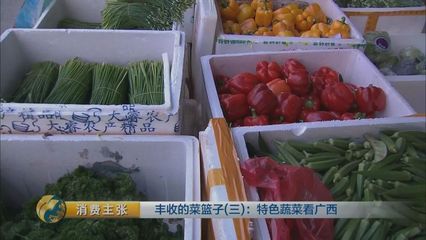 探秘廣西 百斤冬瓜、西瓜樣木瓜，這些特色蔬菜你嘗過嗎？
